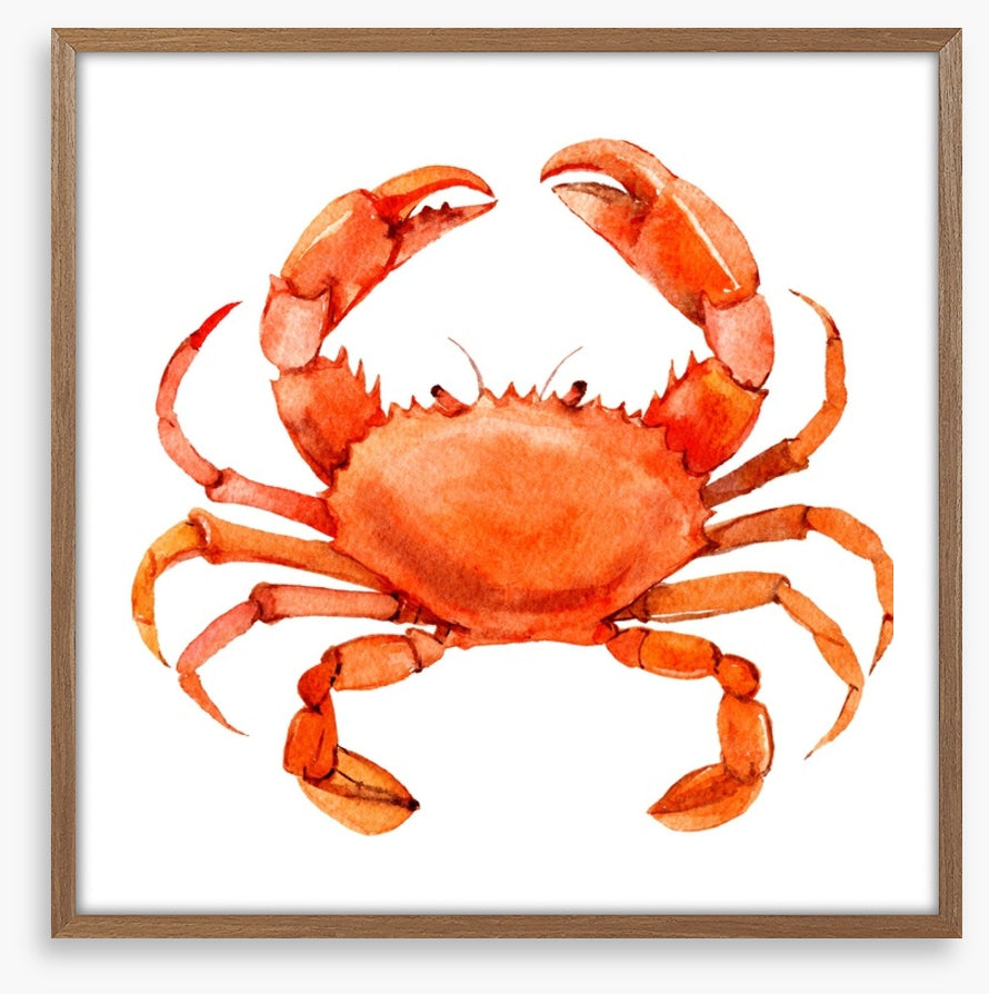 Cornish crab