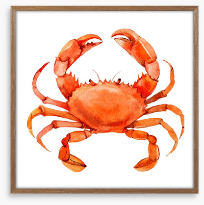 Cornish crab