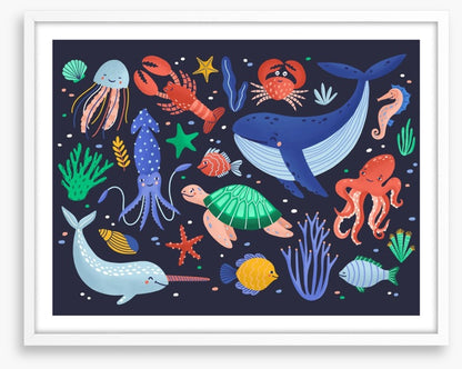 Fishy friends