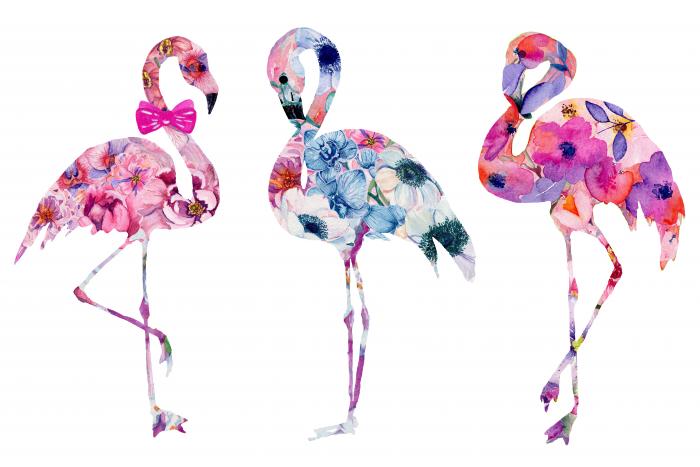Floral flamingos