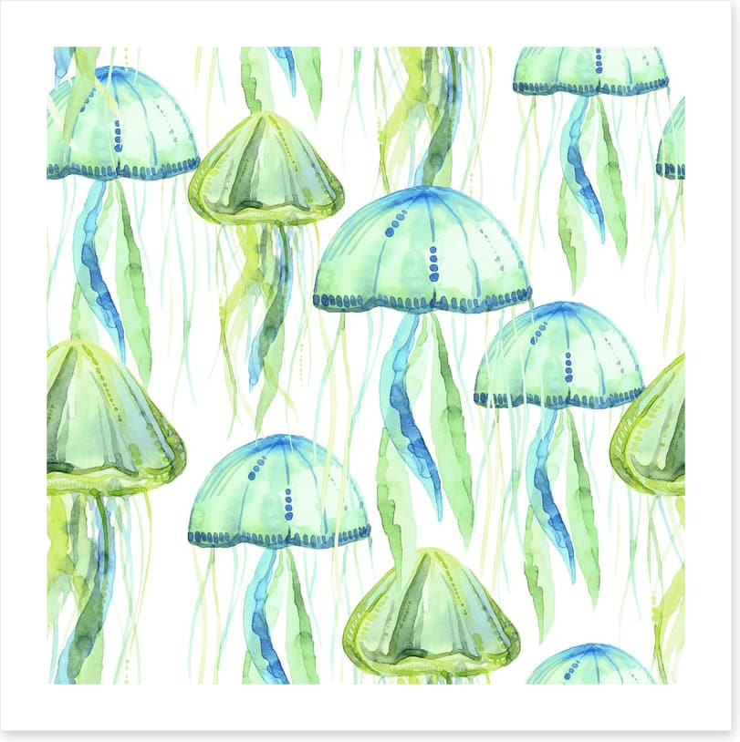 Jellyfish flotilla