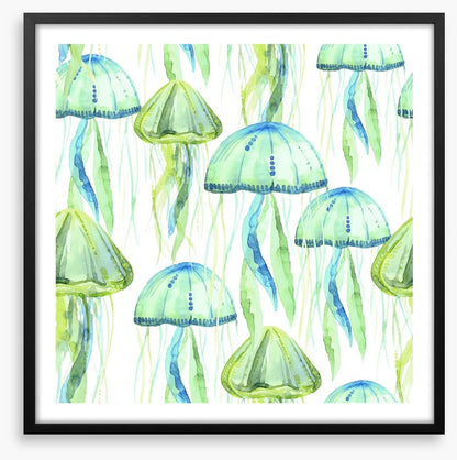 Jellyfish flotilla