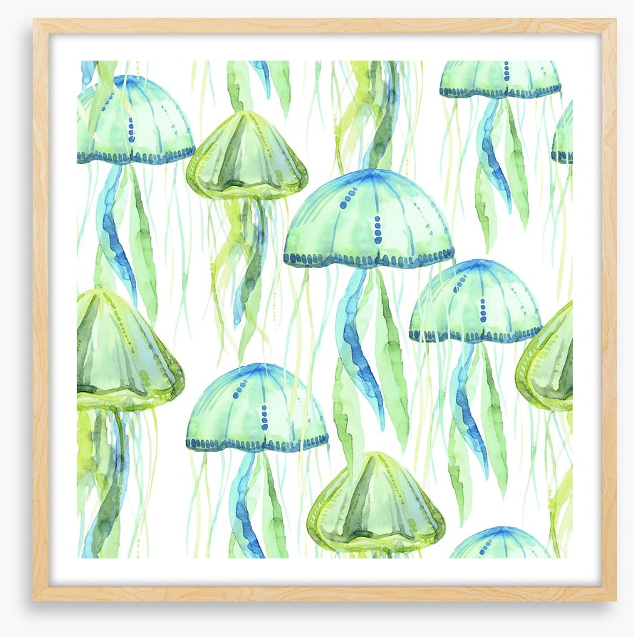 Jellyfish flotilla