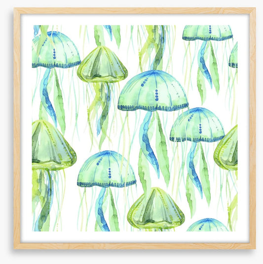 Jellyfish flotilla