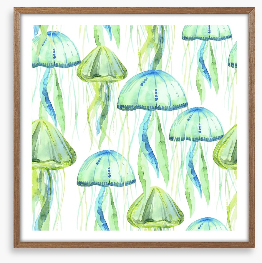 Jellyfish flotilla