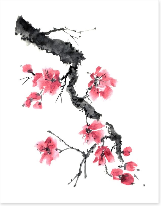 Apple blossom branch
