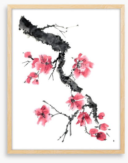 Apple blossom branch