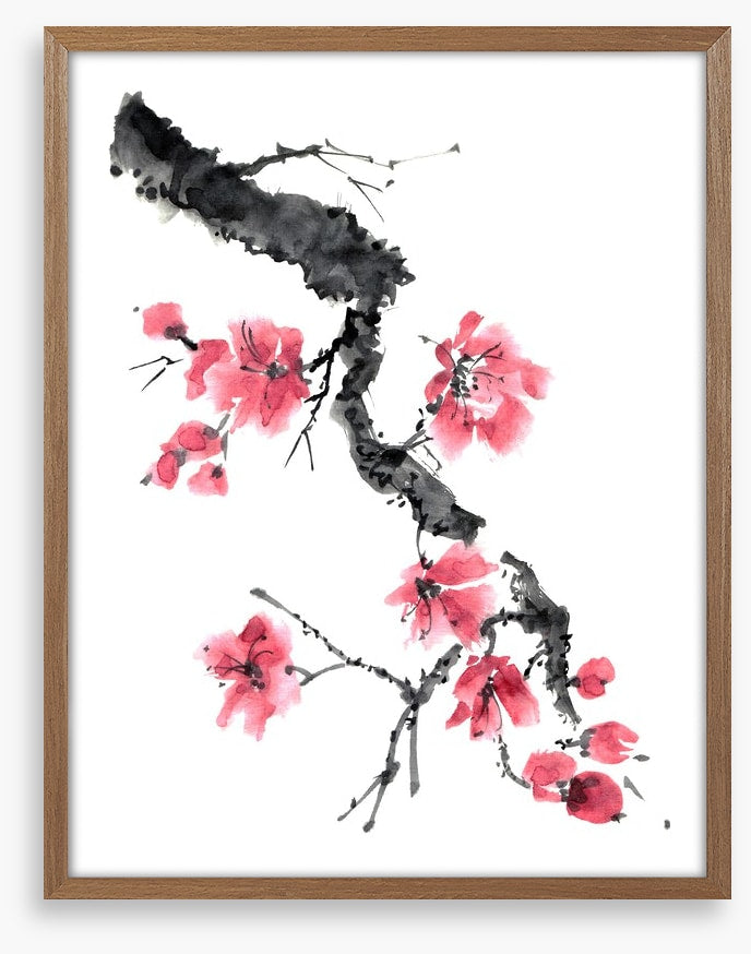 Apple blossom branch