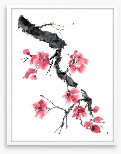 Apple blossom branch