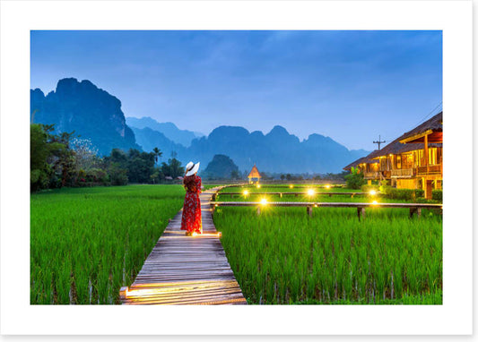 Path through the paddy