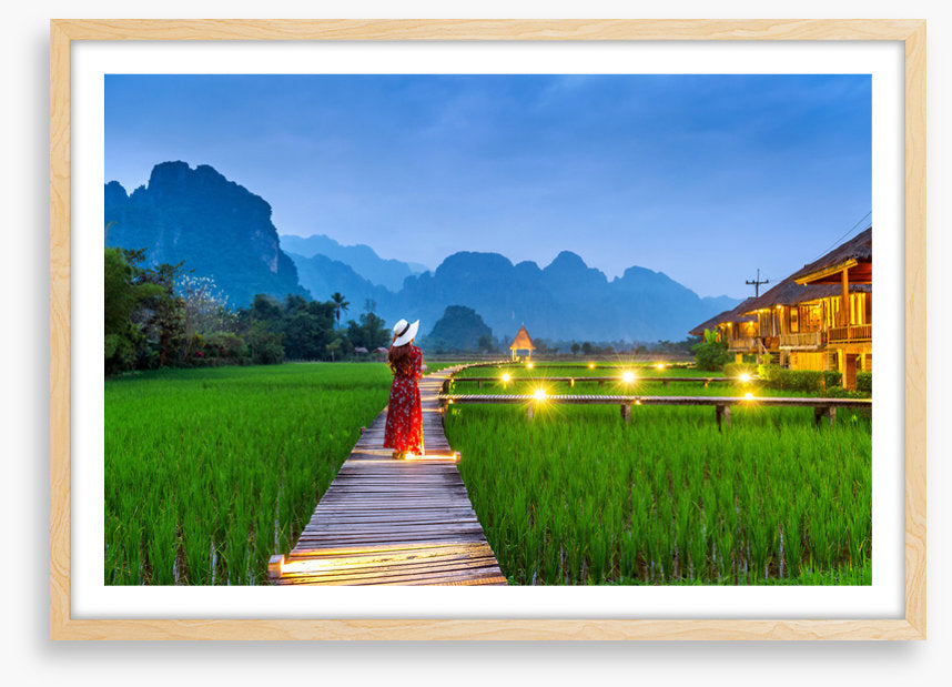 Path through the paddy