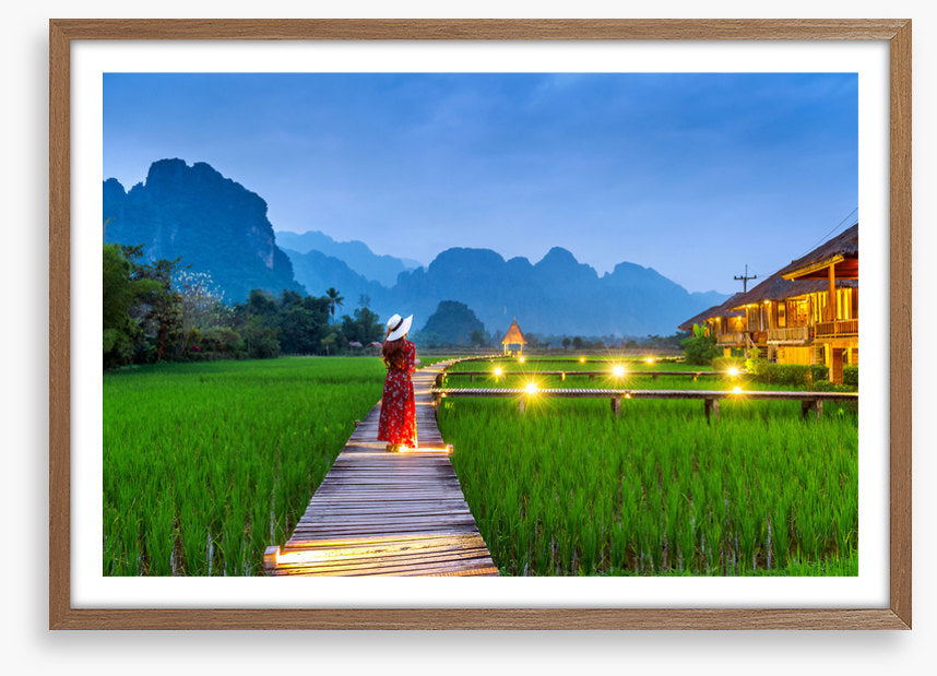Path through the paddy