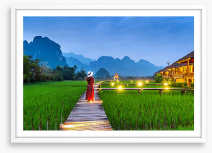 Path through the paddy