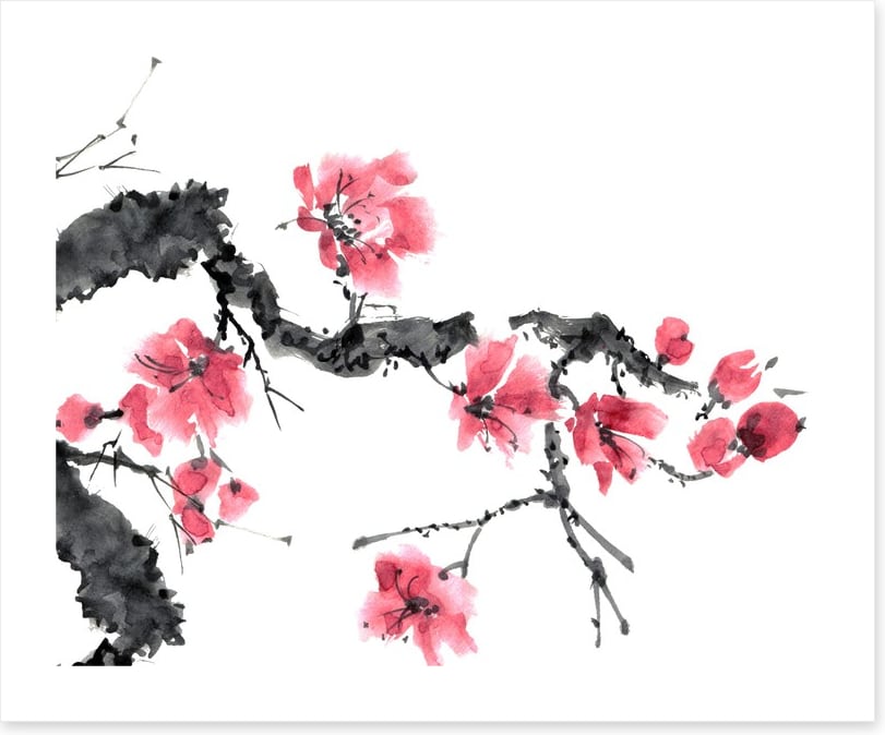 Apple blossom bloom