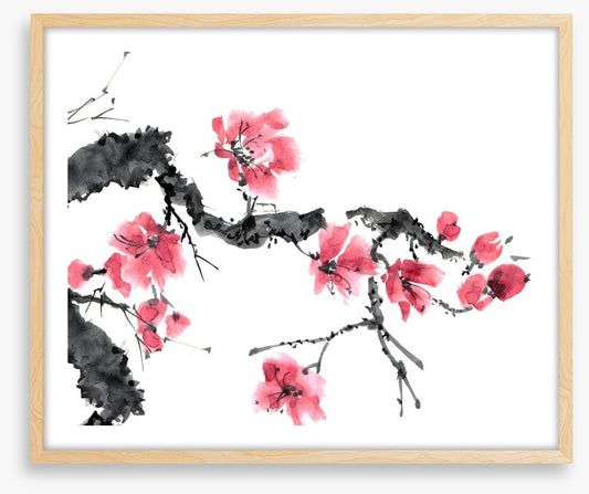 Apple blossom bloom
