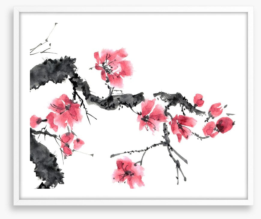 Apple blossom bloom