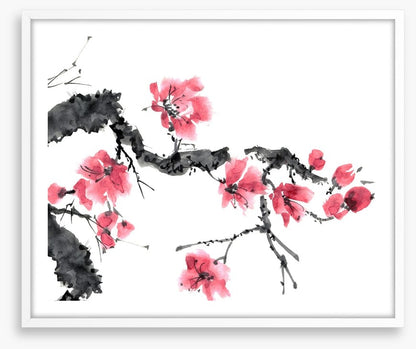 Apple blossom bloom