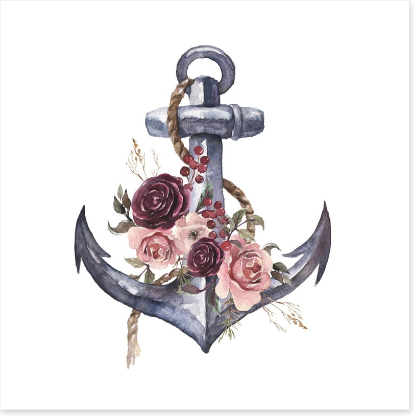 Rosy anchor