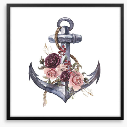 Rosy anchor
