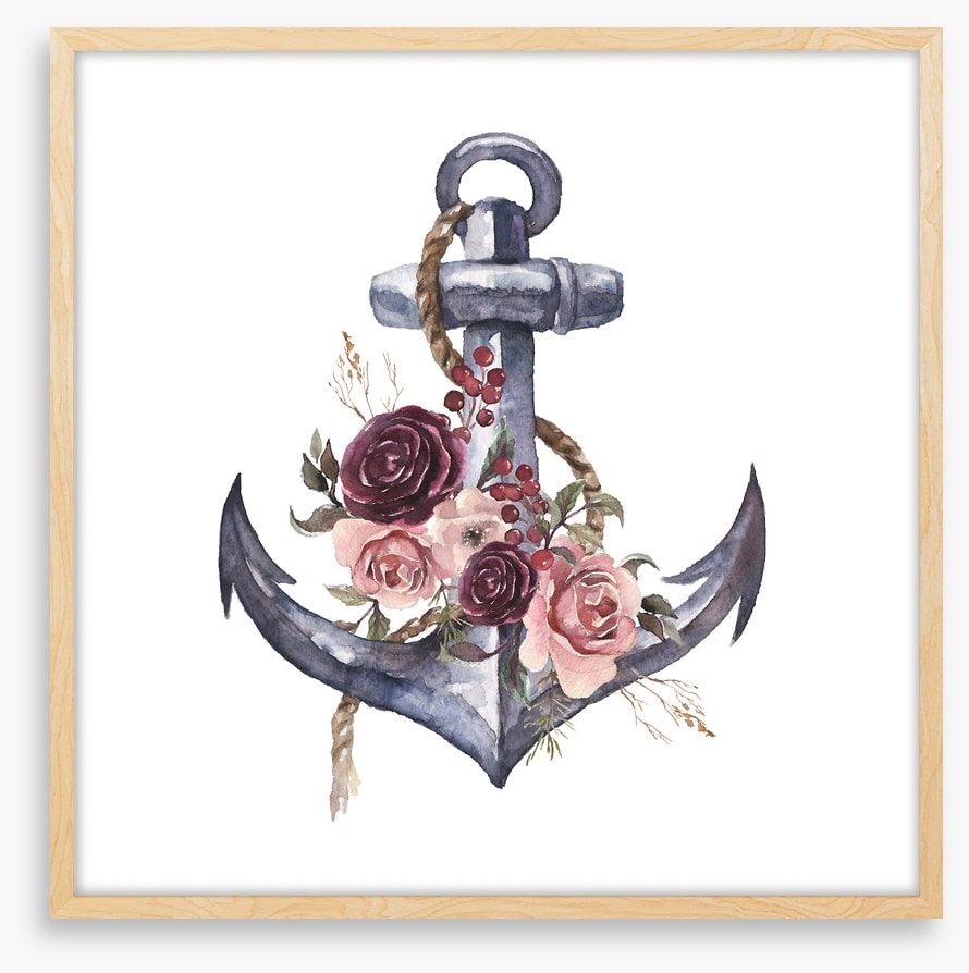 Rosy anchor