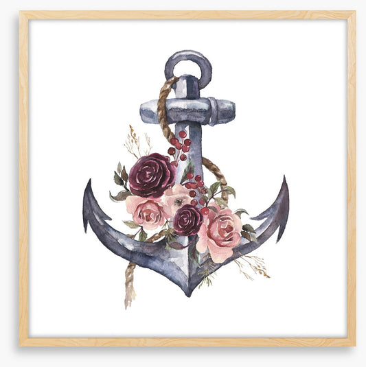 Rosy anchor
