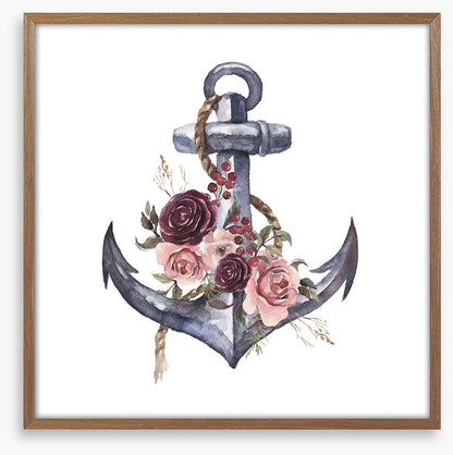 Rosy anchor