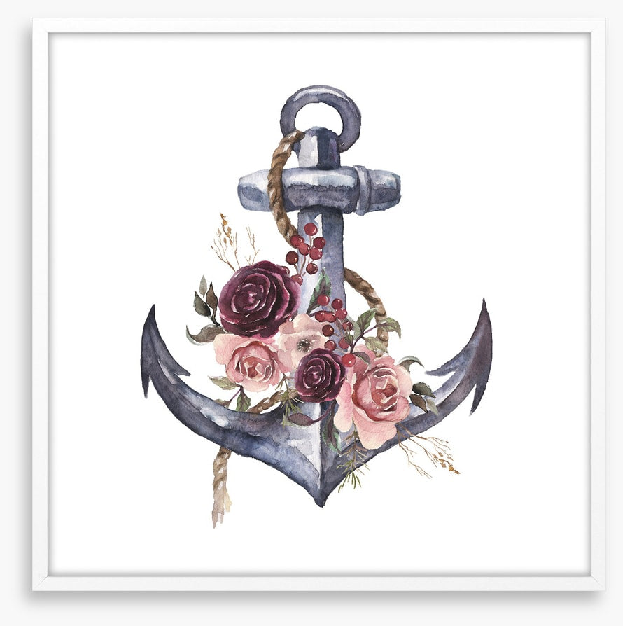 Rosy anchor