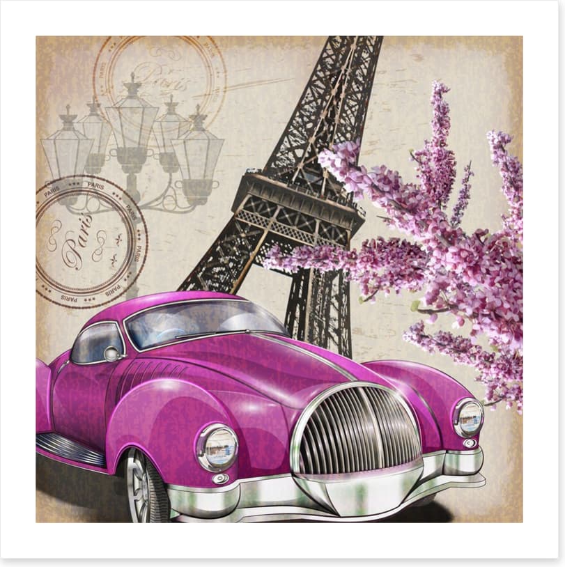 Pinks of Paris