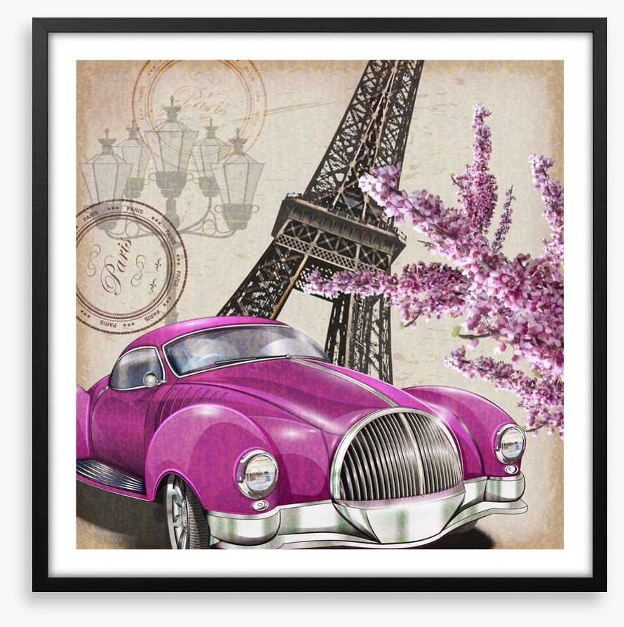 Pinks of Paris