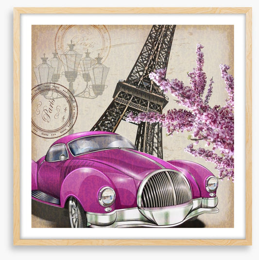 Pinks of Paris