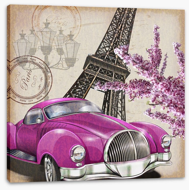 Pinks of Paris