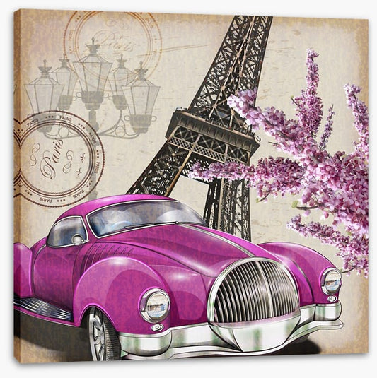 Pinks of Paris