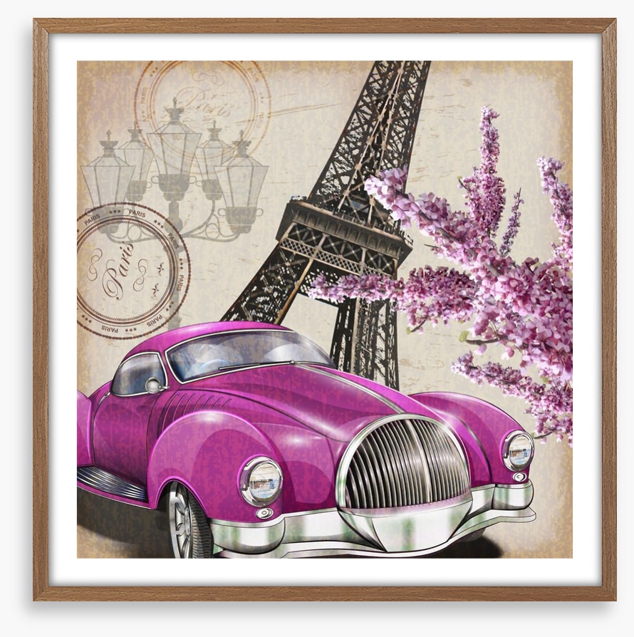 Pinks of Paris