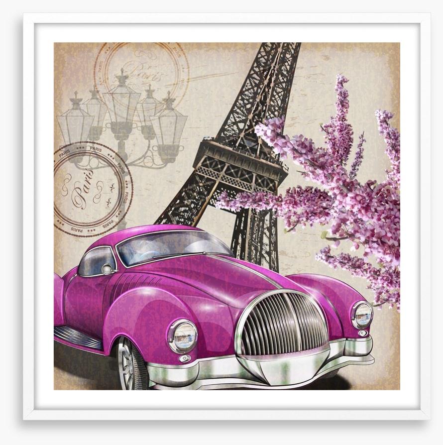 Pinks of Paris