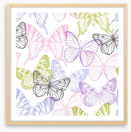 Butterflies