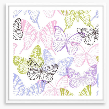 Butterflies