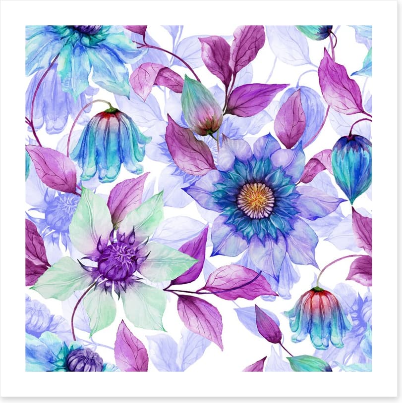 Creeping clematis