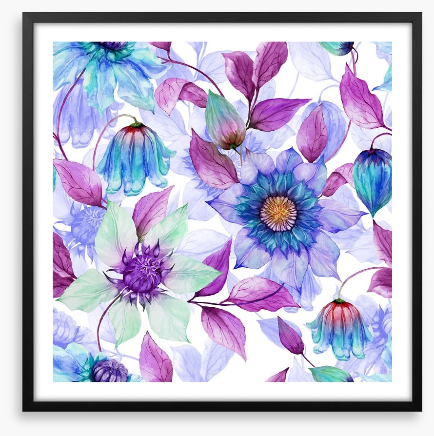Creeping clematis