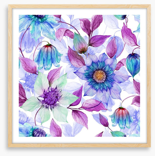 Creeping clematis