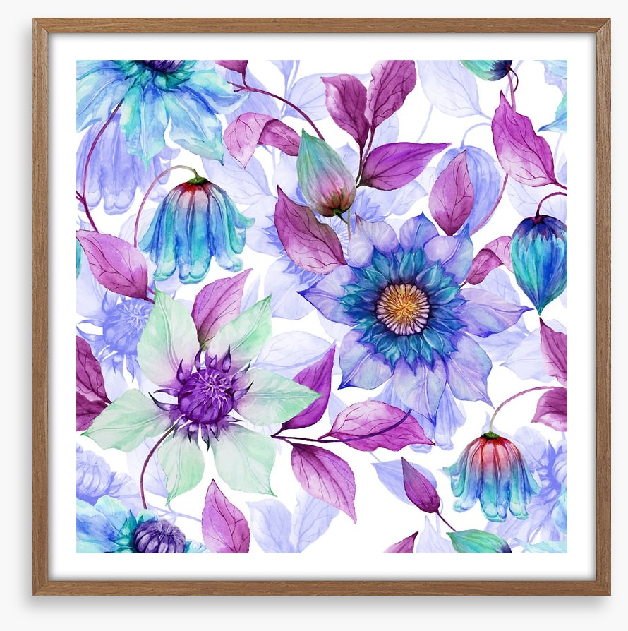 Creeping clematis
