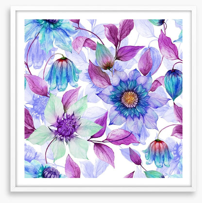 Creeping clematis