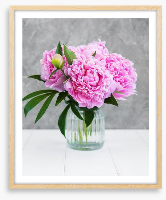 Peony pretty