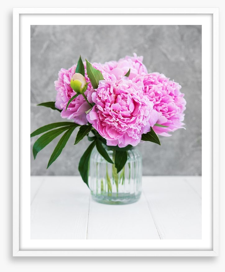 Peony pretty