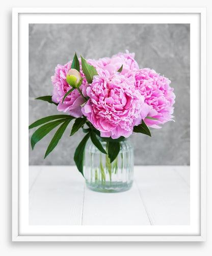 Peony pretty