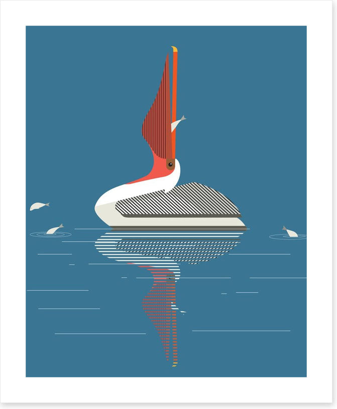 Pelican pleasure