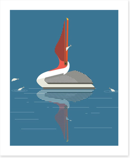 Pelican pleasure