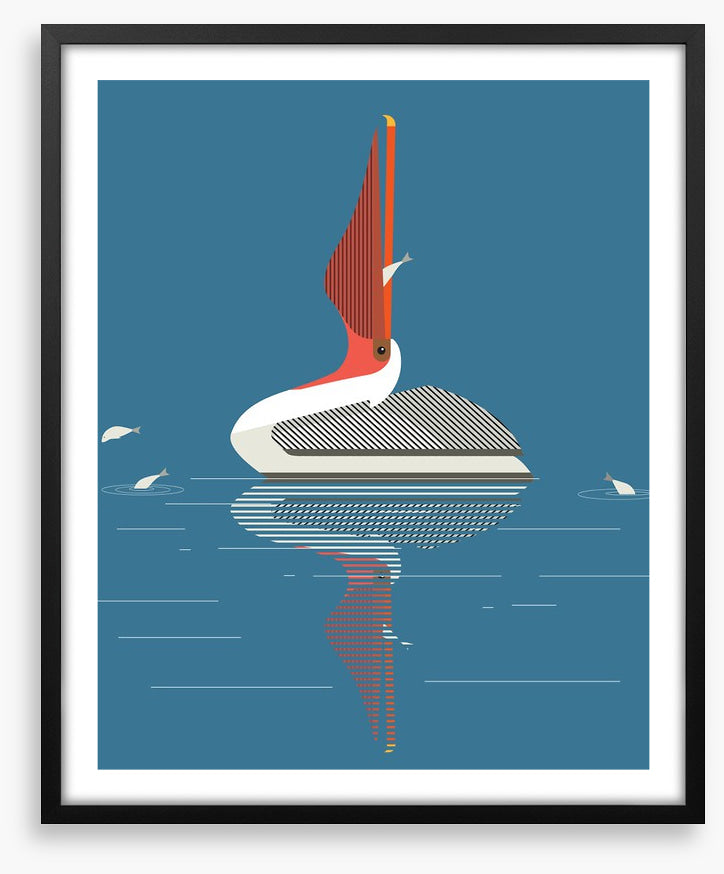 Pelican pleasure