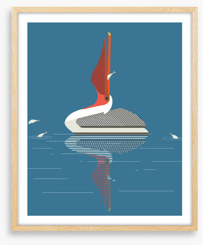 Pelican pleasure