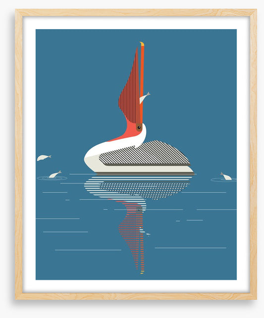 Pelican pleasure