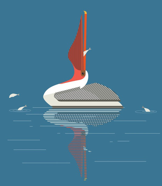 Pelican pleasure